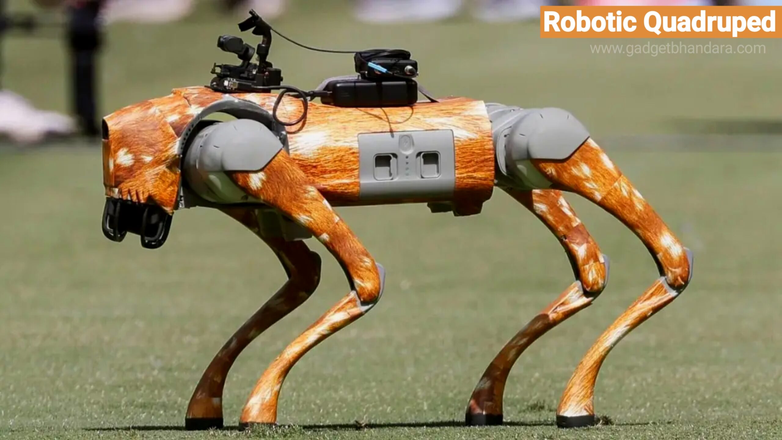 robotic quadruped